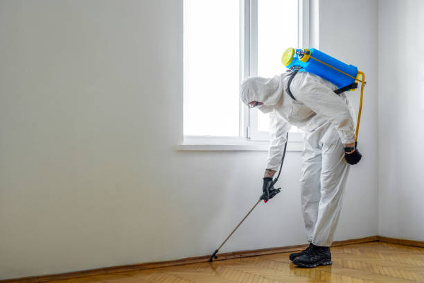 Emergency Pest Control in Winchester, CA